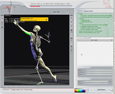Free Human Anatomy Download Software