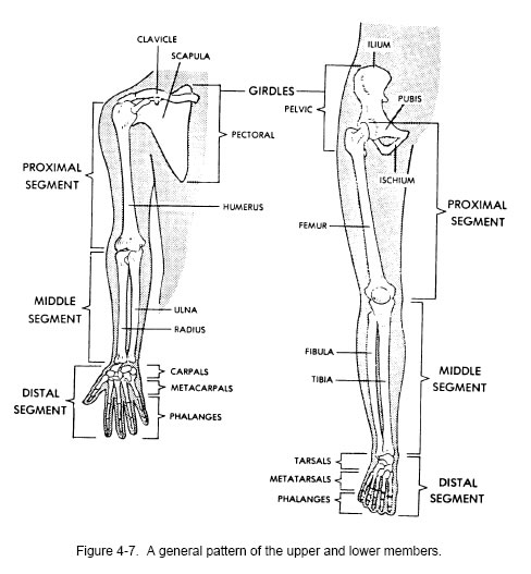 RujaKKampuS: Human Anatomy & Physiology Course By Dr. James Ross