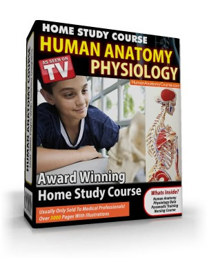 Human Anatomy Home Study Course