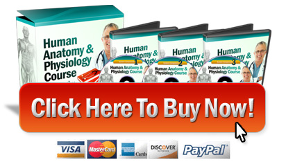 Order Human Anatomy Course
