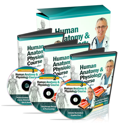 Human Anatomy & Physiology Study Course 