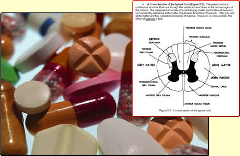 drug remedy pharmacology