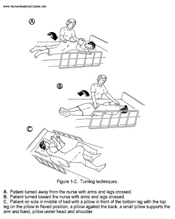 nursing course class 3